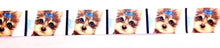 Load image into Gallery viewer, 5/8" Yorkie Dog Grosgrain Ribbon. Pink or Blue Dog Ribbon. Pink Girl Yorkie Ribbon