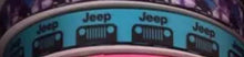 Load image into Gallery viewer, Aqua and Black Sports Vehicle  Ribbon in 5/8" and 7/8" Grosgrain Ribbon.