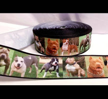 Load image into Gallery viewer, 1.5&quot; Pitbull Dog Grosgrain Ribbon
