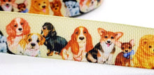 Load image into Gallery viewer, 6 yards in stock - 7/8&#39;&#39; Puppy Dog Ribbon. Pet Gifts. Puppy Parade. Adopt a pet.
