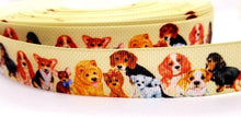 Load image into Gallery viewer, 6 yards in stock - 7/8&#39;&#39; Puppy Dog Ribbon. Pet Gifts. Puppy Parade. Adopt a pet.
