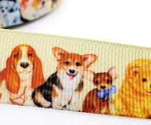 Load image into Gallery viewer, 6 yards in stock - 7/8&#39;&#39; Puppy Dog Ribbon. Pet Gifts. Puppy Parade. Adopt a pet.
