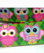 Load image into Gallery viewer, 7/8&#39;&#39; Baby Owls Ribbon. Cute Adorable Bright Owls. Owl Bird Ribbon
