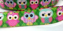 Load image into Gallery viewer, 7/8&#39;&#39; Baby Owls Ribbon. Cute Adorable Bright Owls. Owl Bird Ribbon
